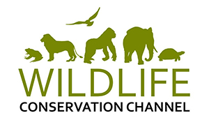 Wildlife Conservation Channel – Films for wildlife – nature – adventure lovers worldwide !